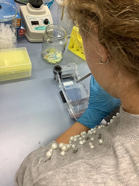 Eine Schülerin bei der Arbeit im Labor