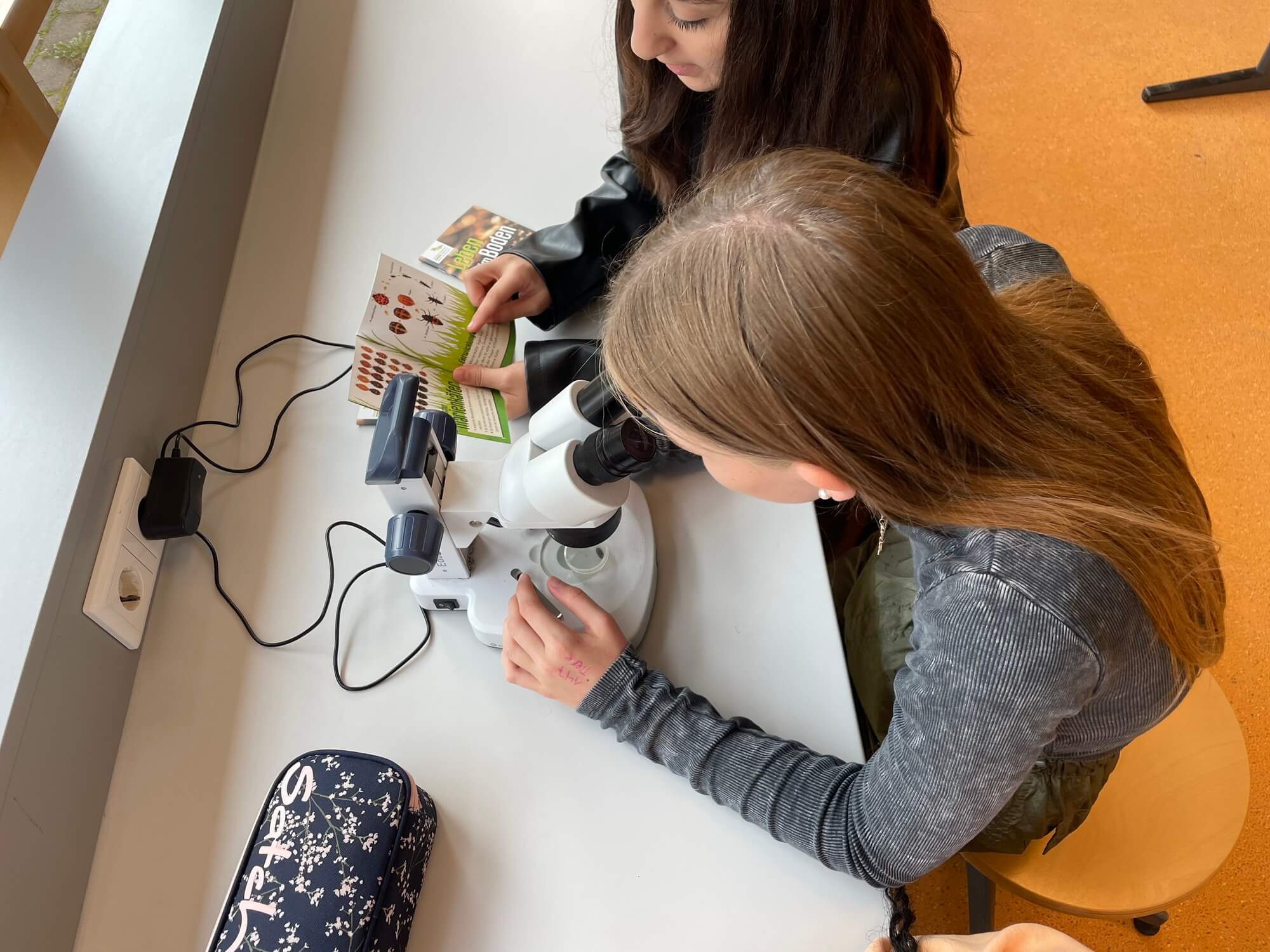 Schüler der 6A im schulbiologischen Zentrum.